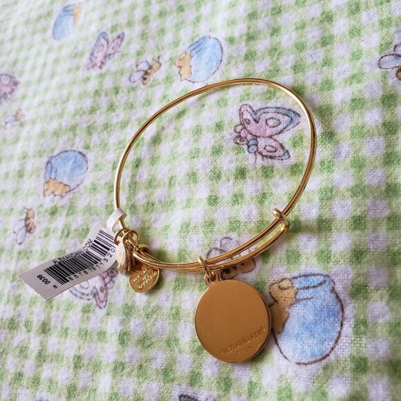 Alex and Ani U.S. Marine Corps Charm Bangle Gold 772 - Picture 3 of 3